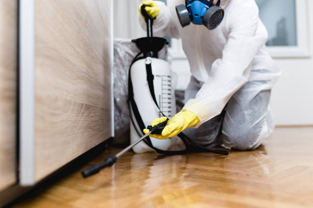Best Termite Control Services  in Grand Ronde, OR