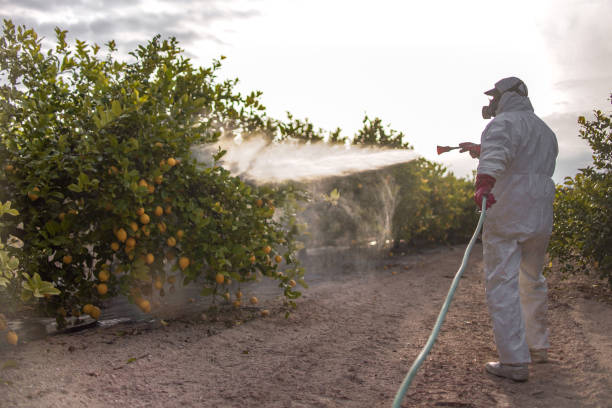 Best Pest Control for Restaurants  in Grand Ronde, OR