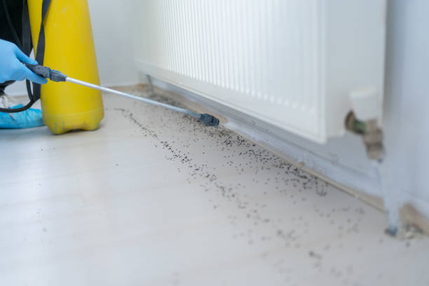 Best Exterminator Services  in Grand Ronde, OR