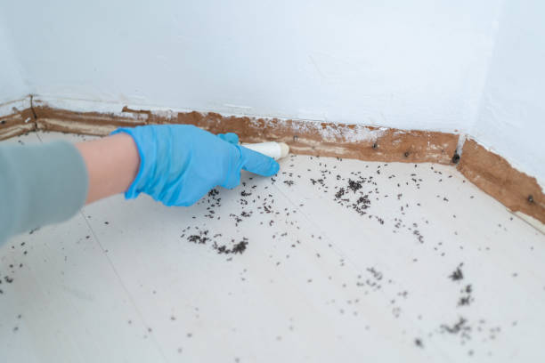 Best Ant Control Services  in Grand Ronde, OR